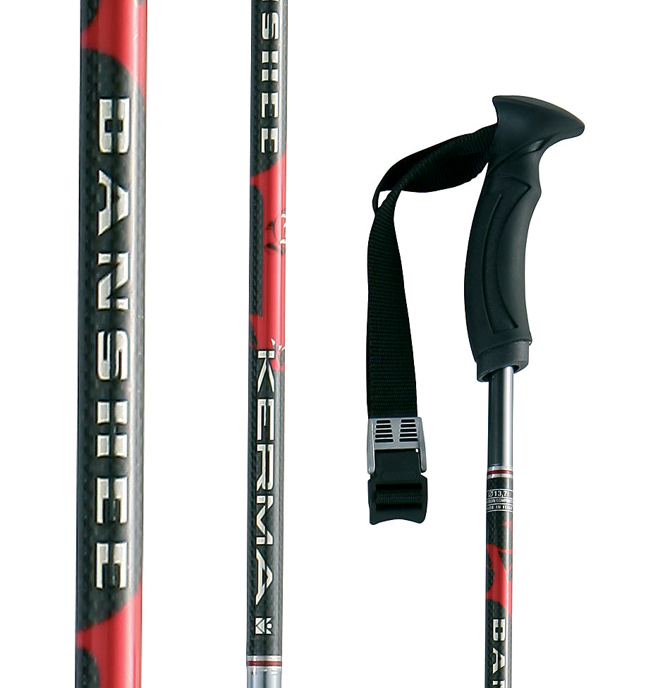 Dynastar Banshee Ski Poles 2007