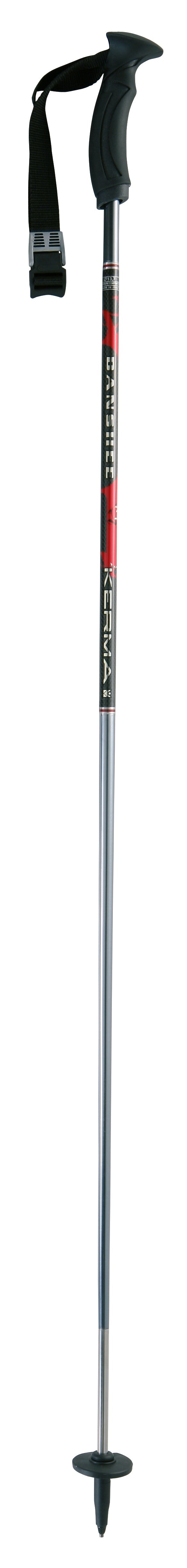 Dynastar Banshee Ski Poles 2007