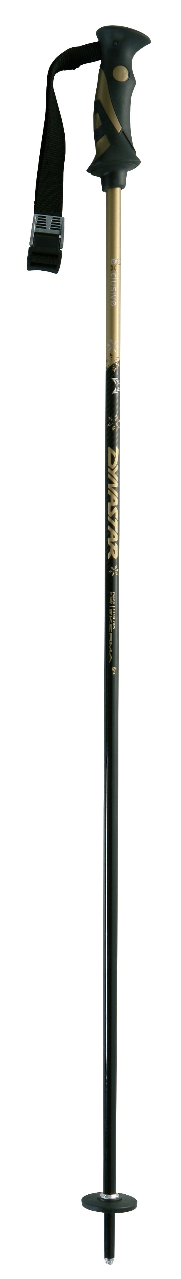 Dynastar Exclusive Expert - Women's Ski Poles 2007