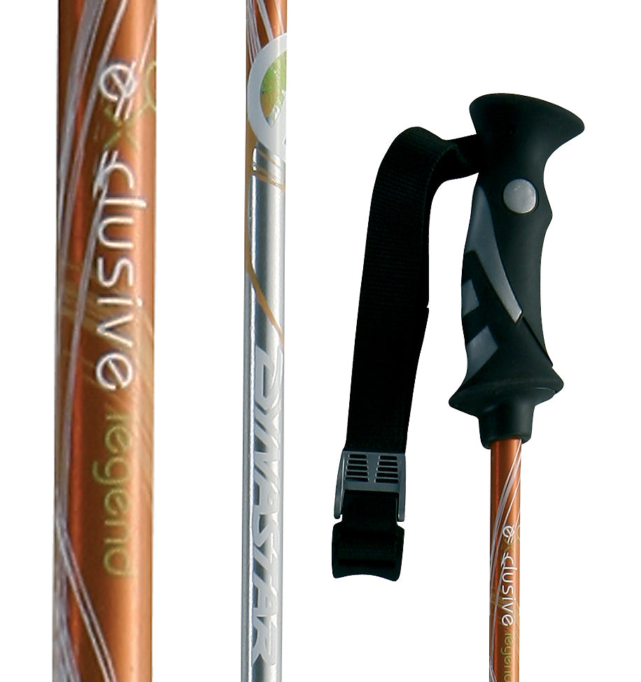 Dynastar Exclusive Legend - Women's Ski Poles 2007