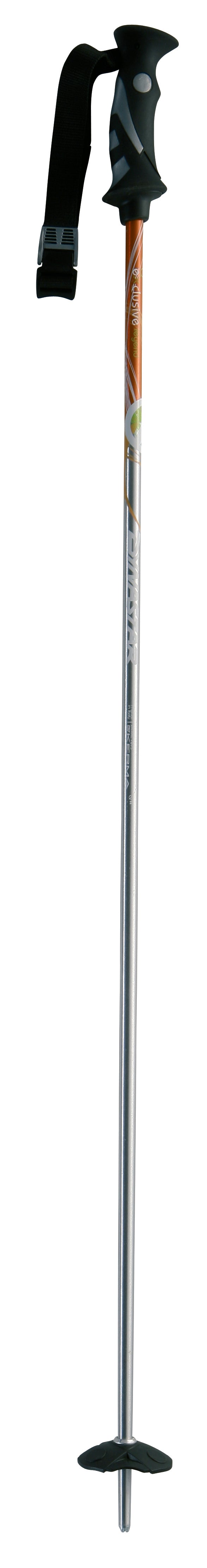 Dynastar Exclusive Legend - Women's Ski Poles 2007