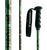 Dynastar Big Trouble Ski Poles 2007