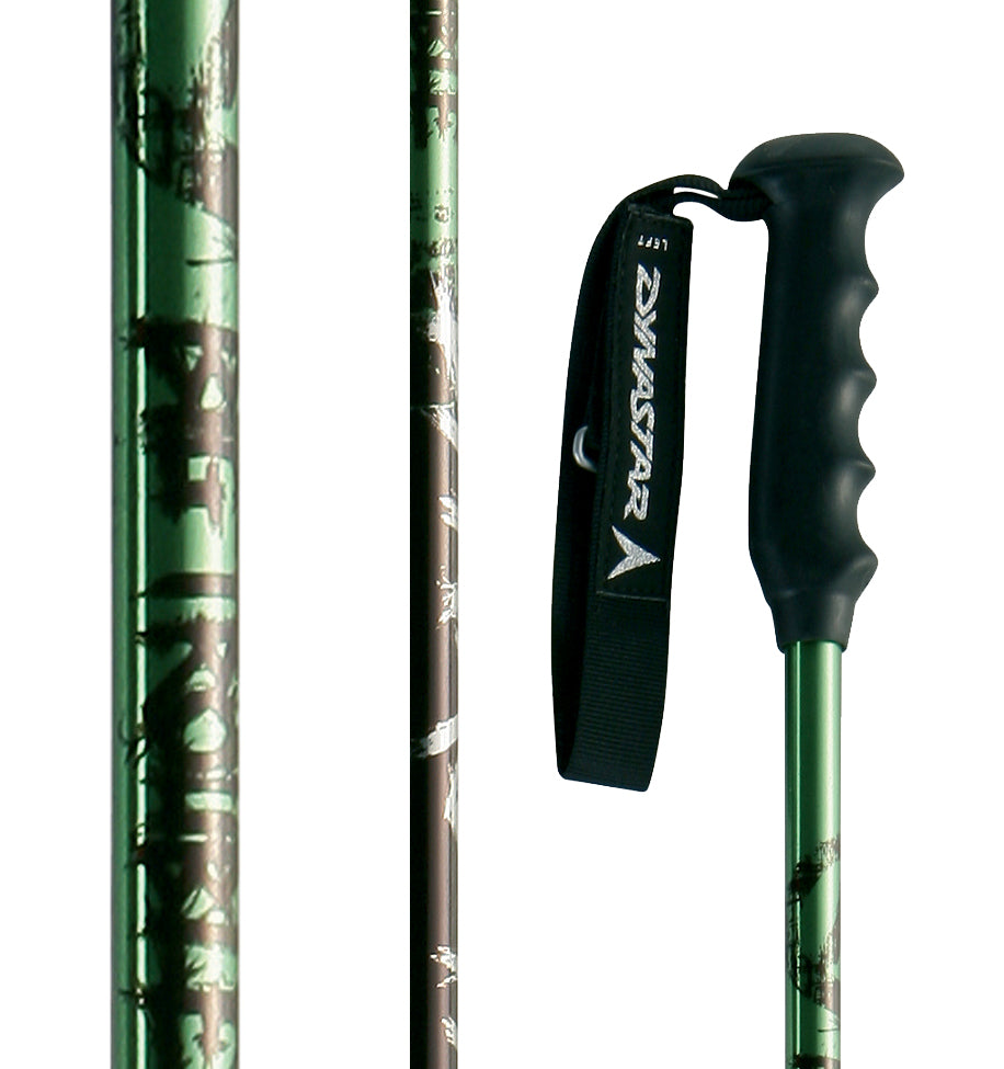 Dynastar Big Trouble Ski Poles 2007
