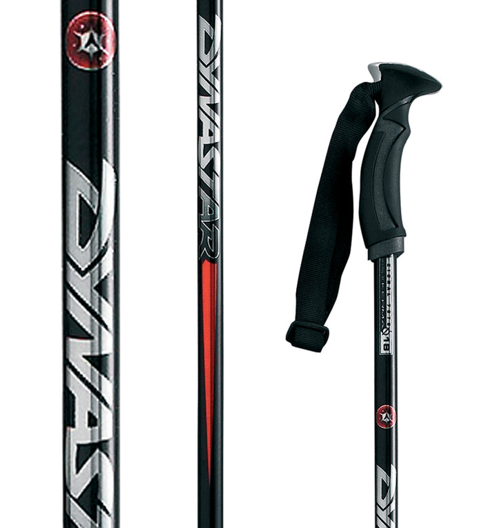 Dynastar Contact Alu Ski Poles 2008