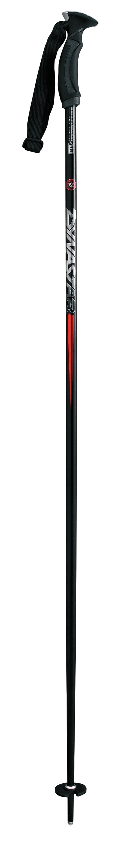 Dynastar Contact Alu Ski Poles 2008