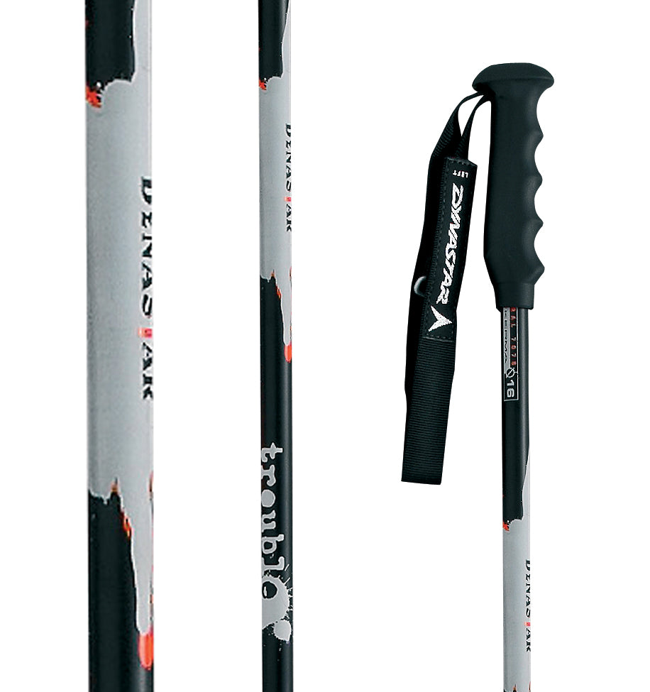 Dynastar Trouble Ski Poles 2008