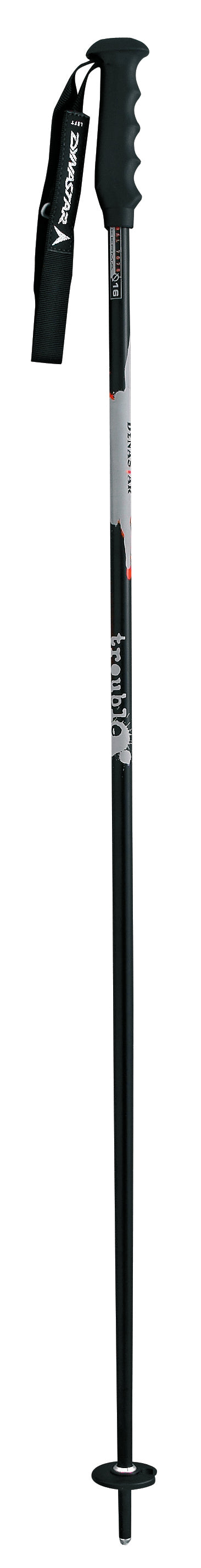 Dynastar Exclusive White Ski Poles 2008