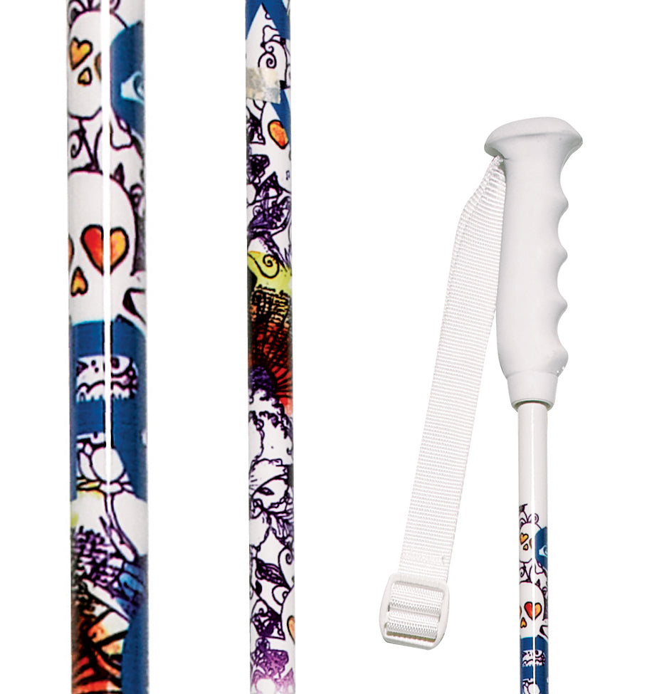 Roxy Alakazam Ski Poles 2008
