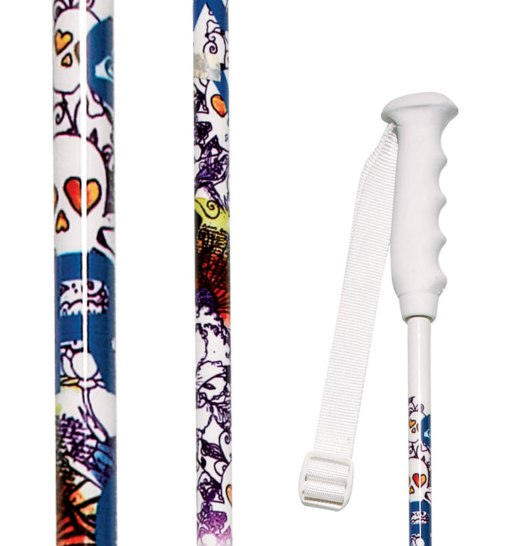 Roxy Alakazam Ski Poles 2008