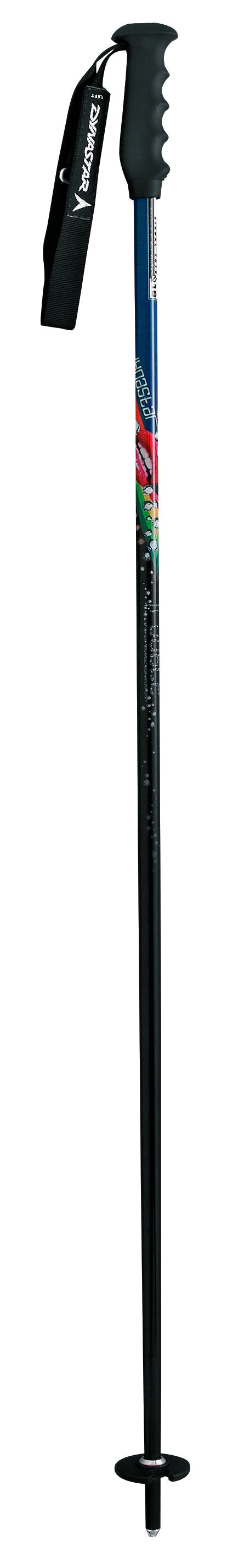 Dynastar Trouble POP Ski Poles 2008