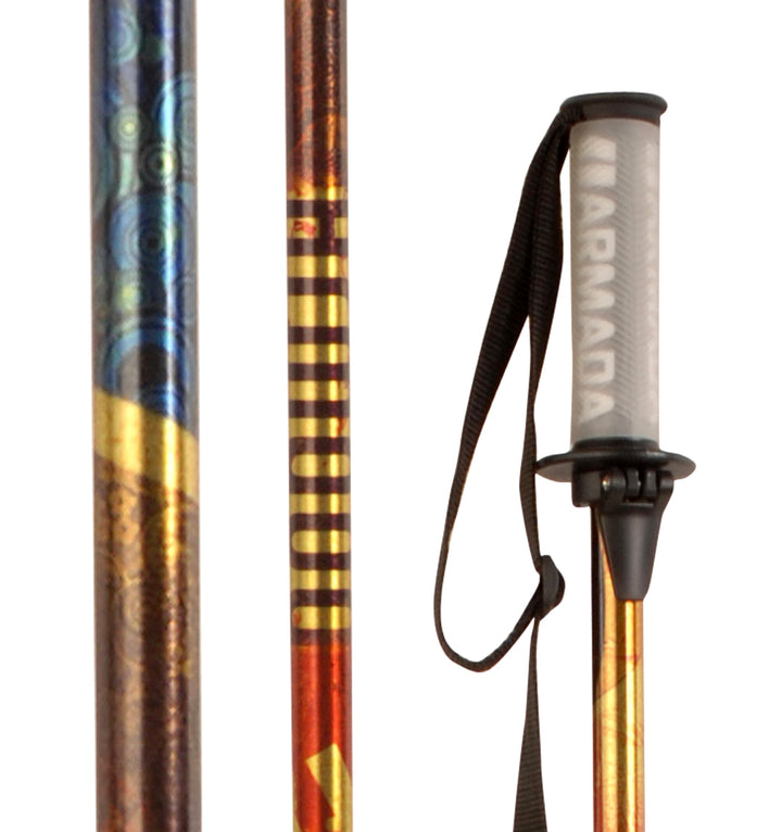 Armada AR6  Ski Poles 2009