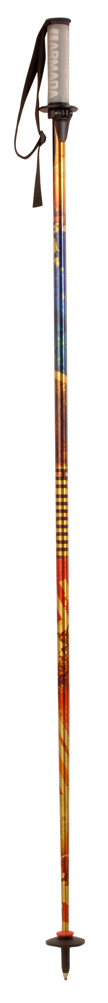 Armada AR6  Ski Poles 2009