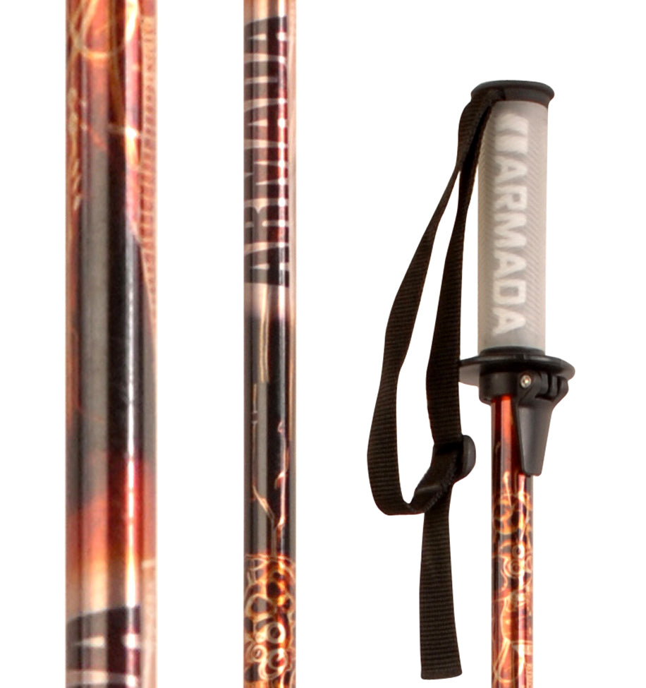 Armada Julien Regnier Telescopic Ski Poles 2009