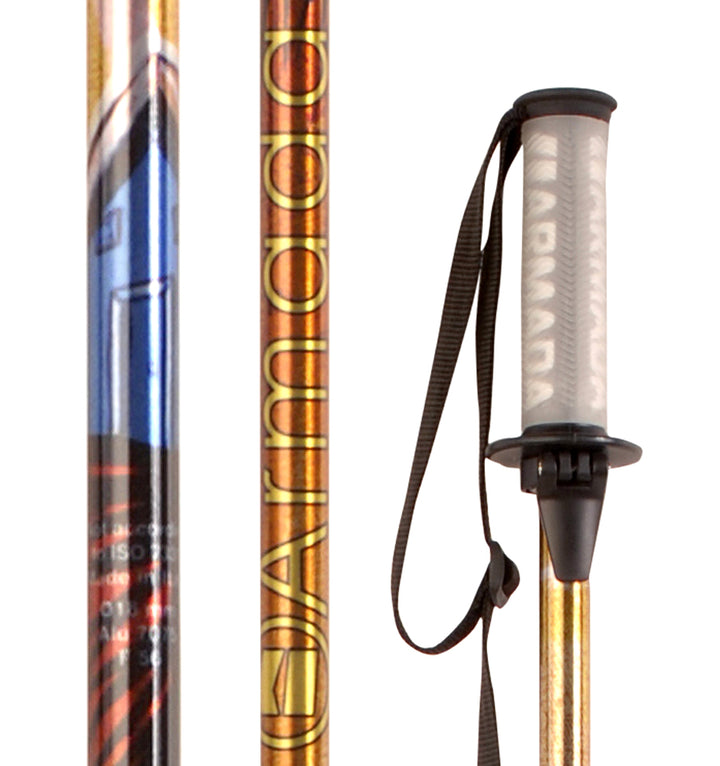 Armada ARV Ski Poles 2009