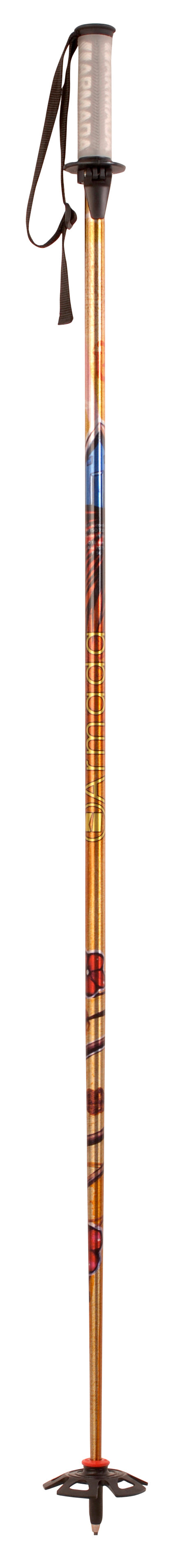 Armada ARV Ski Poles 2009