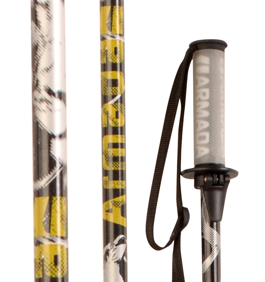 Armada T-Hall (Tanner Hall) Ski Poles 2009