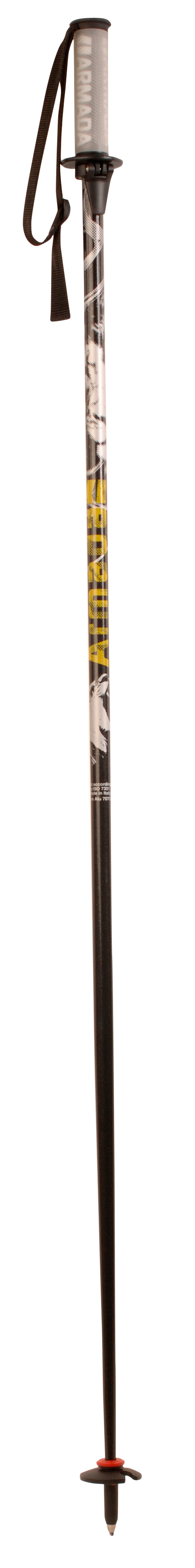 Armada T-Hall (Tanner Hall) Ski Poles 2009