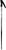 Rossignol Actys Ski Poles 2009