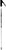 Rossignol G50 Free Ski Poles 2009