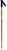 Rossignol Phantom 5000 Ski Poles 2009