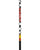 Scott Newcastle Ski Poles 2009