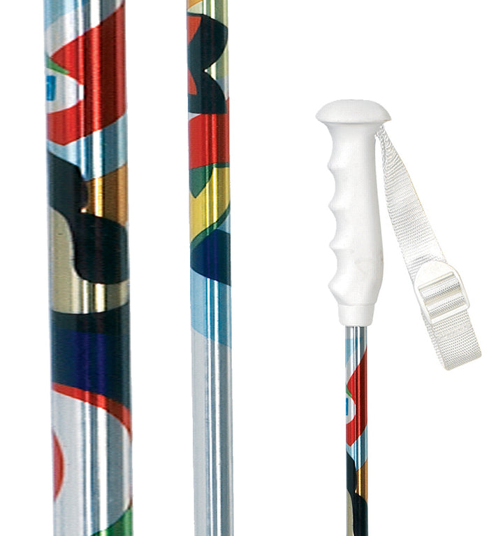 Roxy Shazam Ski Poles 2009
