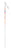 Roxy Alakazam Ski Poles 2009