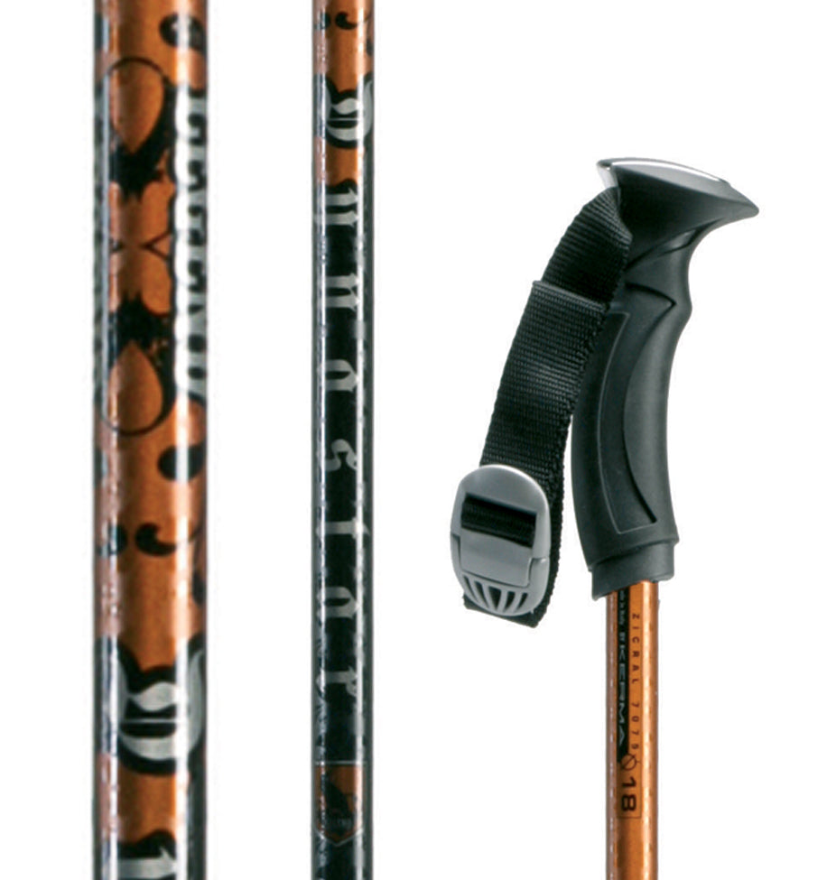 Dynastar Legend Ski Poles 2009