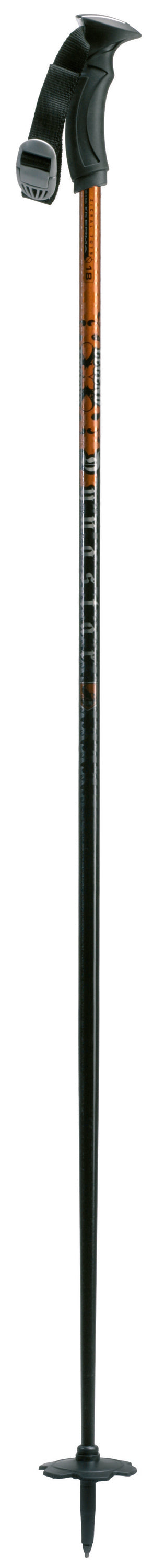Dynastar Legend Ski Poles 2009