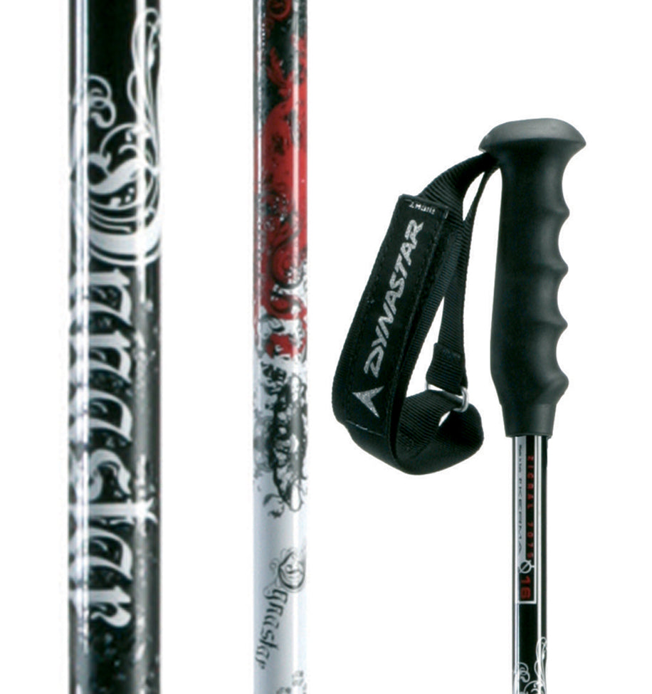Dynastar Trouble Ski Poles 2009