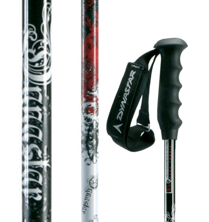 Dynastar Trouble Ski Poles 2009