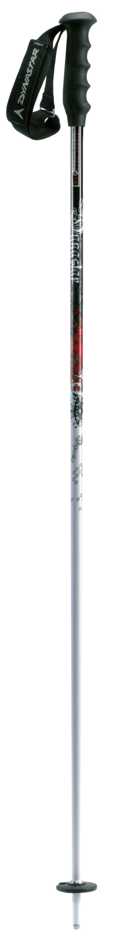 Dynastar Trouble Ski Poles 2009
