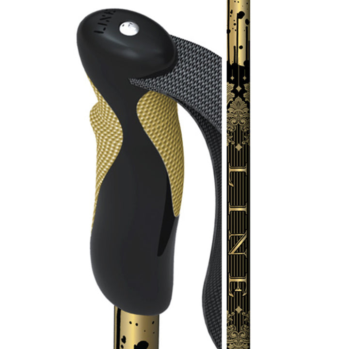 Line Skis Lance Ski Poles 2010 None