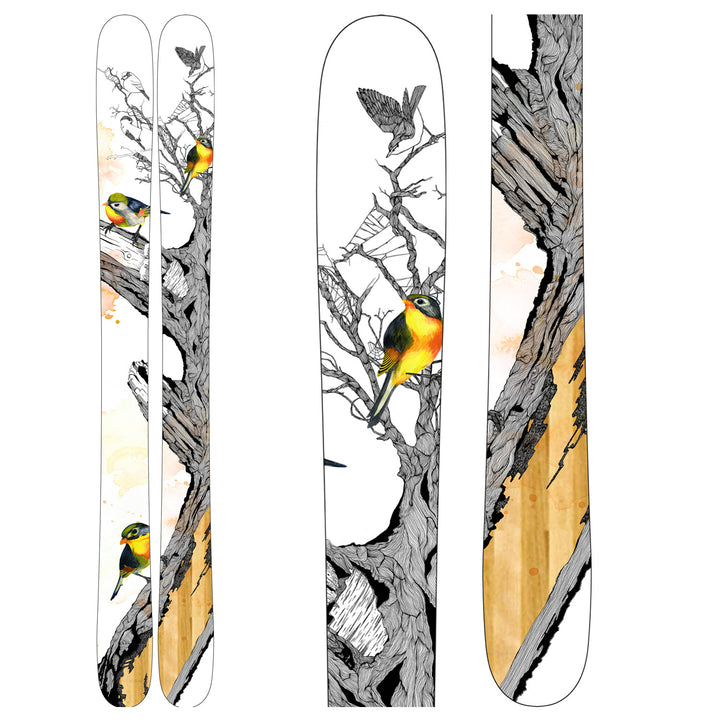 Line Skis Pandora Skis- Women's 2010