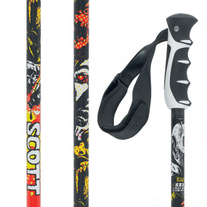 Scott Punisher Ski Poles 2010