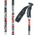 Scott Kito Ski Poles 2010