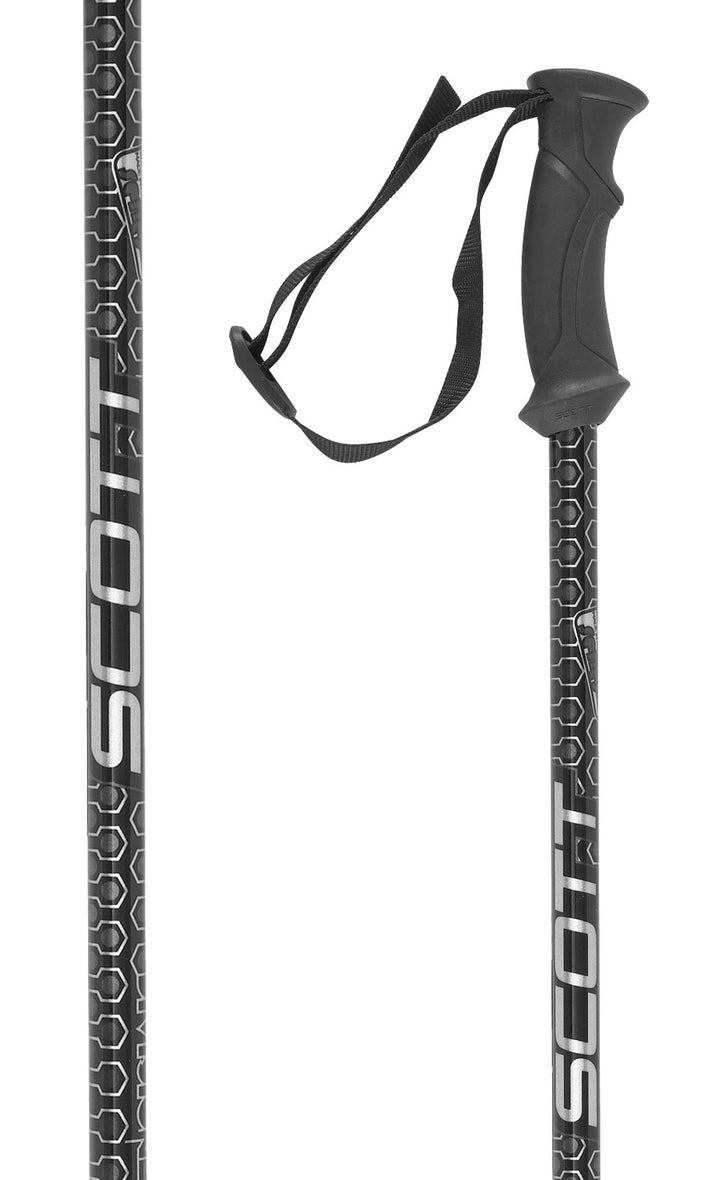 Scott Division Ski Poles 2010 Silver