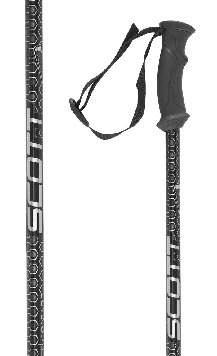 Scott Division Ski Poles 2010