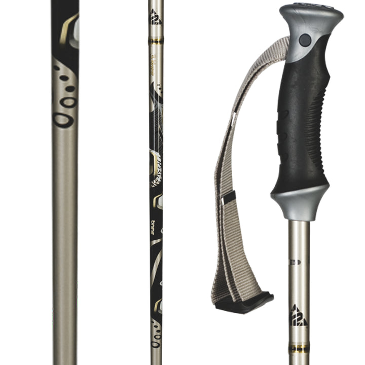 K2 3 Karat Ski Poles 2010