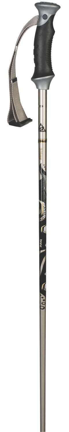 K2 3 Karat Ski Poles 2010