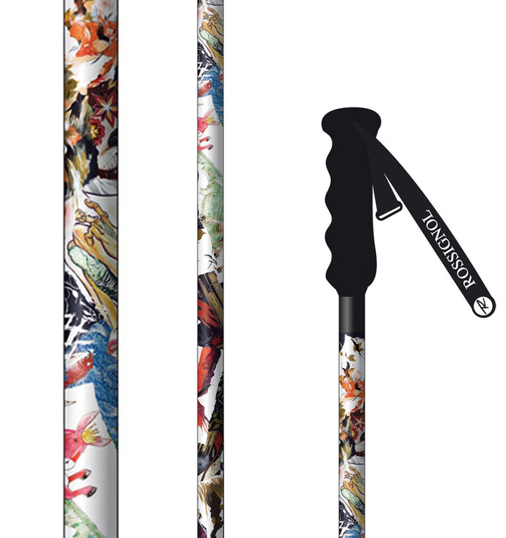 Rossignol SAS Ski Poles 2010 Black