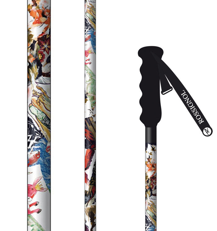 Rossignol SAS Ski Poles 2010