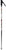 Rossignol SAS Ski Poles 2010