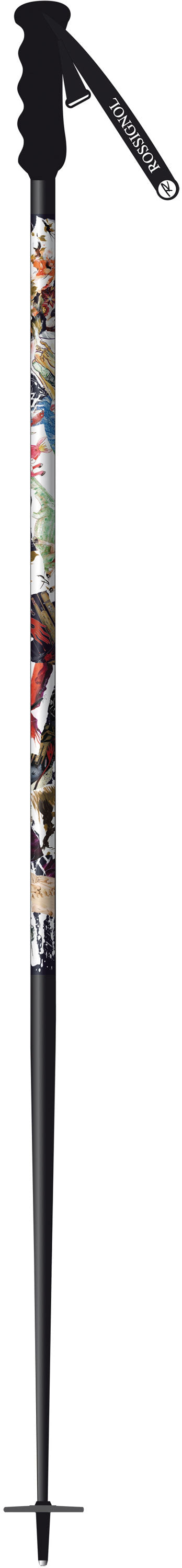 Rossignol SAS Ski Poles 2010