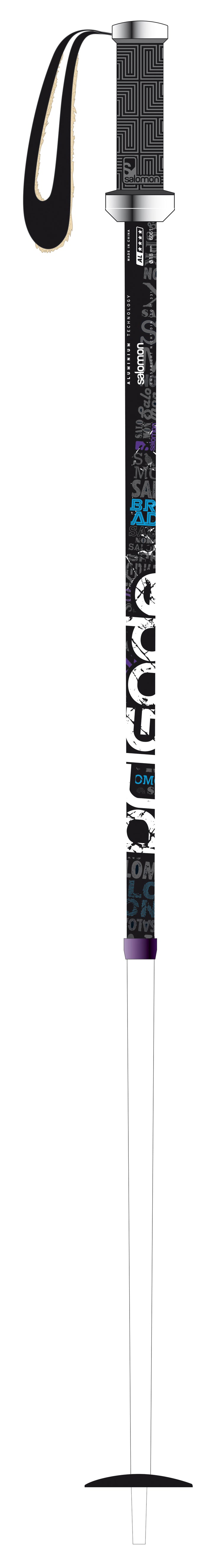 Salomon Brigade CS Ski Poles 2010