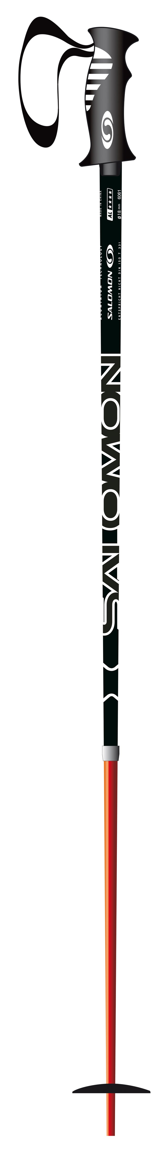 Salomon X Wing CS Ski Poles 2010