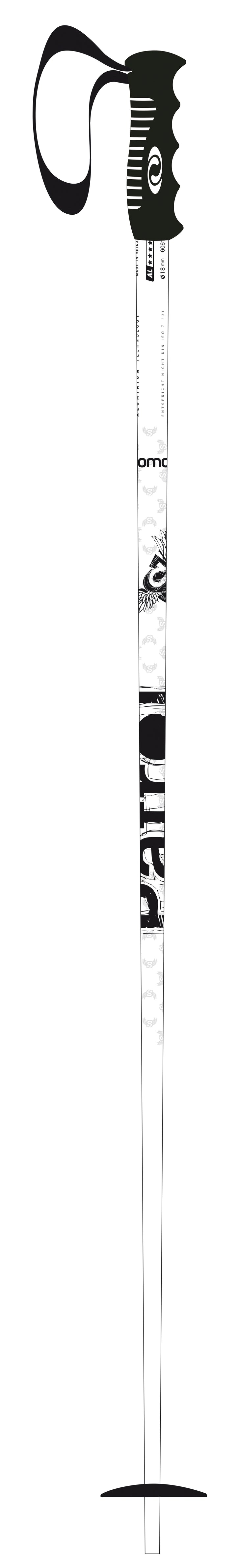 Salomon Patrol Ski Poles 2010