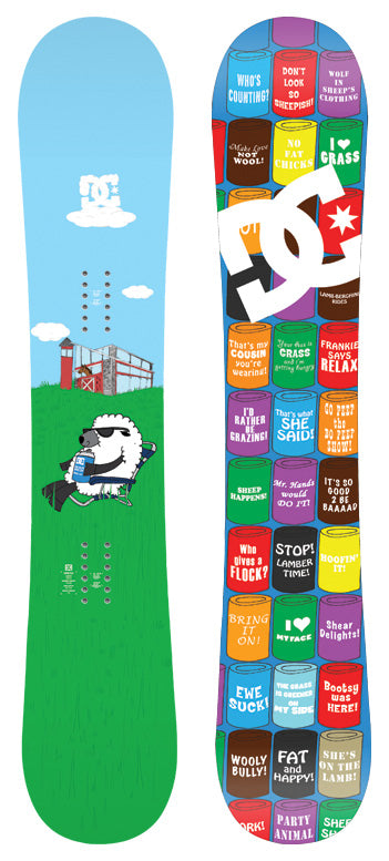 DC HKD Pro Devun Walsh Snowboard 2010