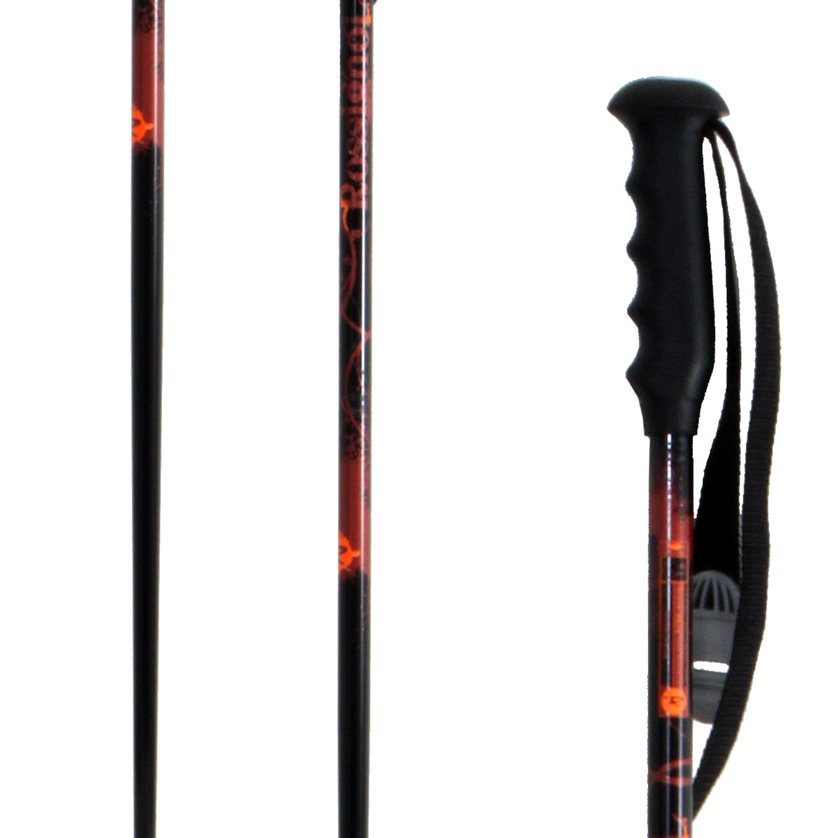 Rossignol Freeride Ski Poles 2010 Brown