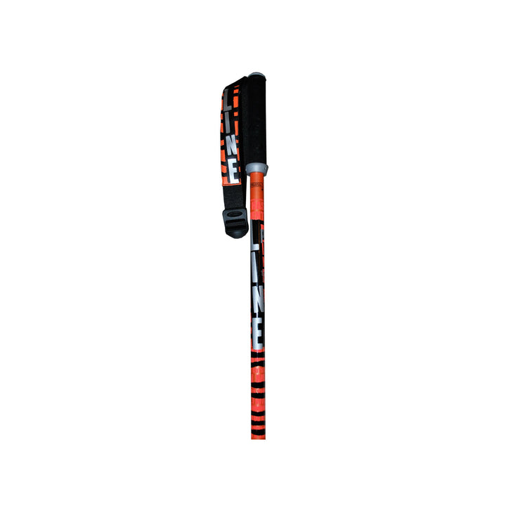 Line Skis Pin Ski Poles 2011